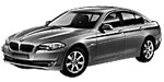 BMW F10 P0A15 Fault Code